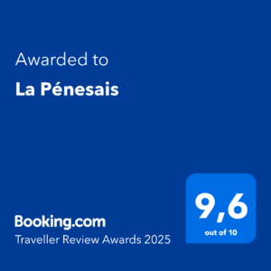 Traveller Review Award Booking.com 2025