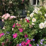 La Pénesais - le jardin fleuri