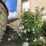 La Pénesais - le jardin fleuri de roses