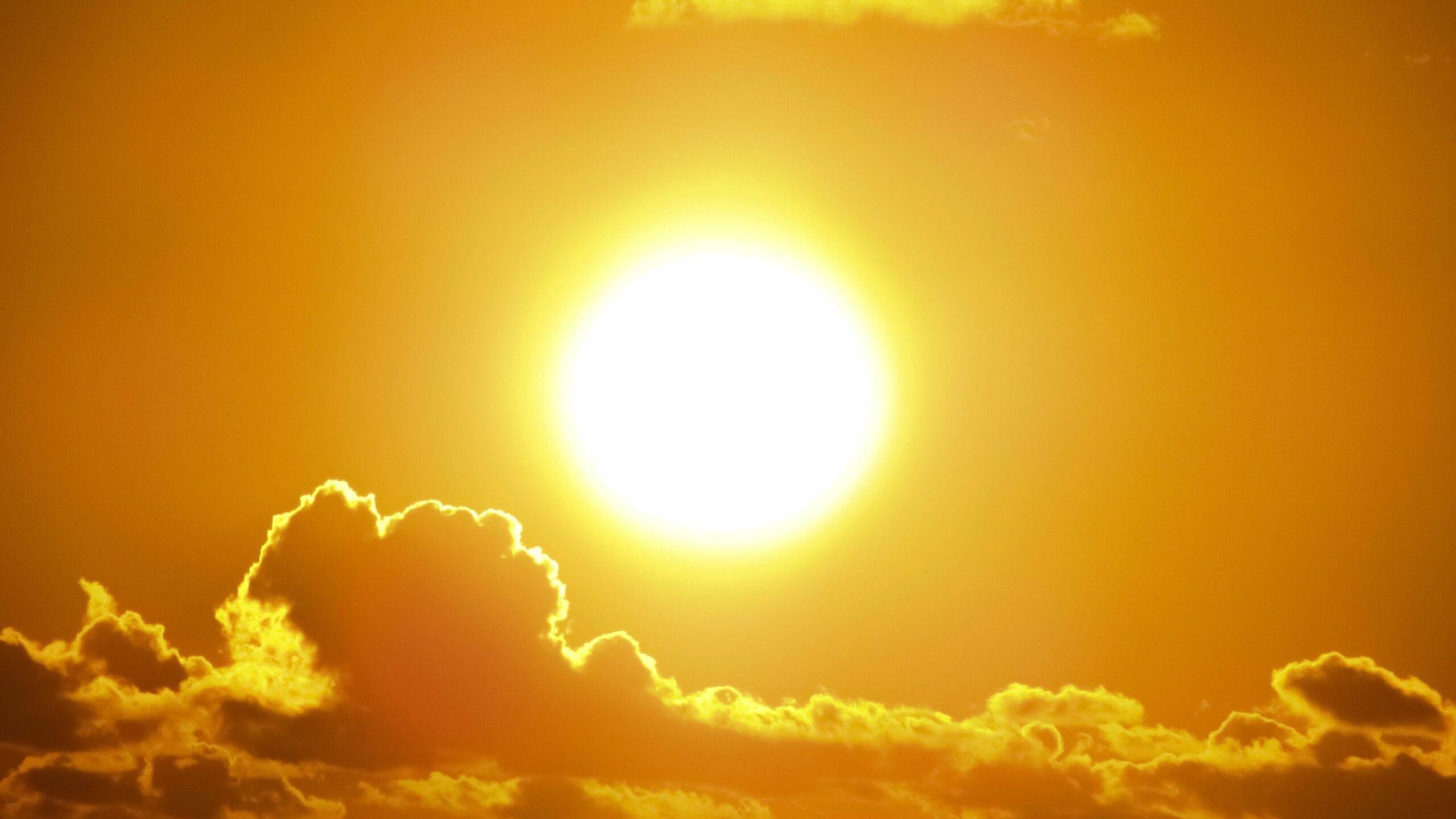 Temps de Canicule